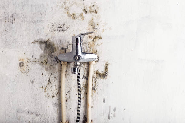 Best DIY Mold Remediation Support Services in Middletown, OH