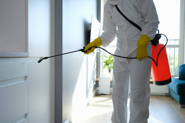 Best Commercial Mold Remediation in Middletown, OH