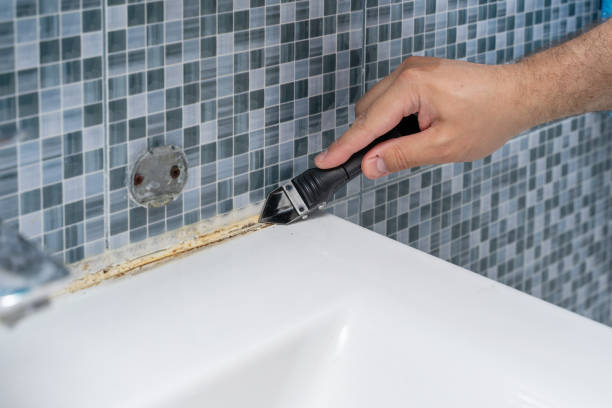 Best Insurance-Related Mold Remediation in Middletown, OH